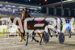 2026_PACEPIX_GP12062026_RACE8_Blitzar_WIN_WEB-18
