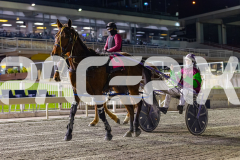 2026_PACEPIX_GP12062026_RACE8_Blitzar_WIN_WEB-19