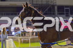 2026_PACEPIX_GP12062026_RACE8_Blitzar_WIN_WEB-20