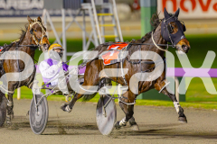 RACE 8 - Blockjorg