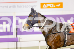 2025_PACEPIX_GP13062025_RACE8_Blockjorg_WIN_WEB-16