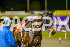 2025_PACEPIX_GP13062025_RACE8_Blockjorg_WIN_WEB-19