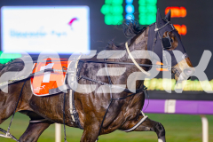 2025_PACEPIX_GP13062025_RACE8_Blockjorg_WIN_WEB-4
