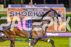 RACE 8 - Brickies Dream