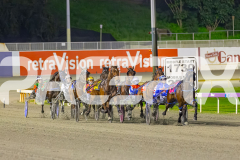 2025_PACEPIX_GP29082025_RACE8_BrickiesDream_WIN_WEB-1