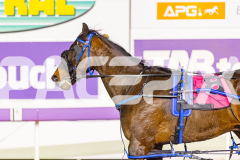 2025_PACEPIX_GP29082025_RACE8_BrickiesDream_WIN_WEB-22
