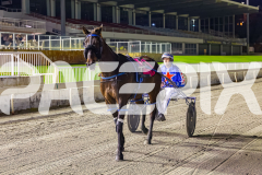2025_PACEPIX_GP29082025_RACE8_BrickiesDream_WIN_WEB-23