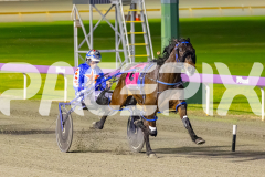 2025_PACEPIX_GP29082025_RACE8_BrickiesDream_WIN_WEB-6