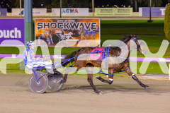 2025_PACEPIX_GP29082025_RACE8_BrickiesDream_WIN_WEB-9