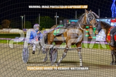 RACE 8 - Bull Shark Betty