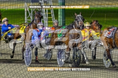 2026_PACEPIX_GP08092026_RACE8_BullSharkBetty_WIN_WEB-3