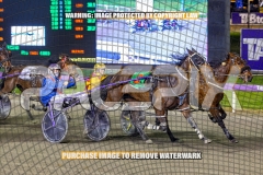2026_PACEPIX_GP08092026_RACE8_BullSharkBetty_WIN_WEB-5