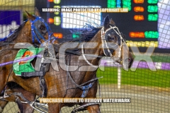 2026_PACEPIX_GP08092026_RACE8_BullSharkBetty_WIN_WEB-7