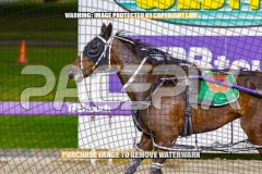 2026_PACEPIX_GP08092026_RACE8_BullSharkBetty_WIN_WEB-9