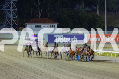 2025_PACEPIX_GP05122025_RACE8_BurghleyShard_WIN_WEB-1