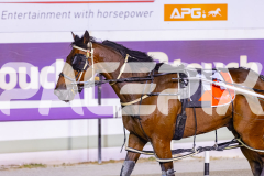 2025_PACEPIX_GP05122025_RACE8_BurghleyShard_WIN_WEB-12
