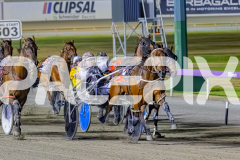 2025_PACEPIX_GP05122025_RACE8_BurghleyShard_WIN_WEB-4