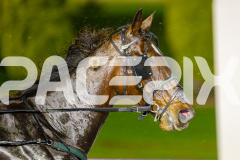 2025_PACEPIX_GP20062025_Race8_CandyApple_WIN_WEB-14