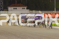 2025_PACEPIX_GP20062025_Race8_CandyApple_WIN_WEB-5