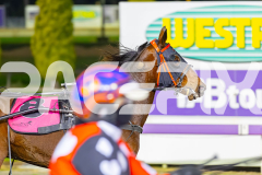 2026_PACEPIX_GP05052026_Race8_CeaseToReact_WIN_WEB-11