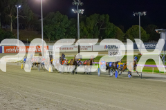 2025_PACEPIX_GP19122025_RACE8_ChampagneEveryone_WIN_WEB-1
