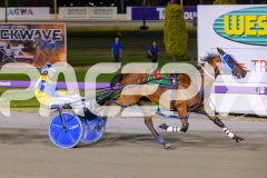 2025_PACEPIX_GP19122025_RACE8_ChampagneEveryone_WIN_WEB-11