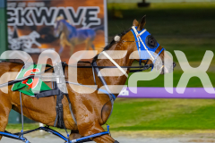 2025_PACEPIX_GP19122025_RACE8_ChampagneEveryone_WIN_WEB-14