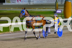 2025_PACEPIX_GP19122025_RACE8_ChampagneEveryone_WIN_WEB-15
