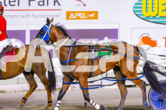 2025_PACEPIX_GP19122025_RACE8_ChampagneEveryone_WIN_WEB-16