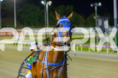 2025_PACEPIX_GP19122025_RACE8_ChampagneEveryone_WIN_WEB-17