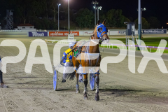 2025_PACEPIX_GP19122025_RACE8_ChampagneEveryone_WIN_WEB-19