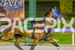 2025_PACEPIX_GP19122025_RACE8_ChampagneEveryone_WIN_WEB-3