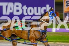 2025_PACEPIX_GP19122025_RACE8_ChampagneEveryone_WIN_WEB-6