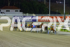 2025_PACEPIX_GP19122025_RACE8_ChampagneEveryone_WIN_WEB-7