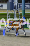 2025_PACEPIX_GP19122025_RACE8_ChampagneEveryone_WIN_WEB-8