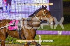 2026_PACEPIX_GP06102026_Race8_Classnsmart_WIN_WEB-11