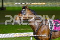 2026_PACEPIX_GP06102026_Race8_Classnsmart_WIN_WEB-14