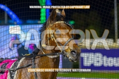 2026_PACEPIX_GP06102026_Race8_Classnsmart_WIN_WEB-16