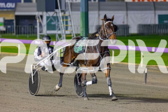 2026_PACEPIX_GP22052026_RACE8_CodenameMarcus_WIN_WEB-22