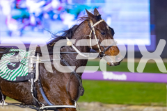 2026_PACEPIX_GP22052026_RACE8_CodenameMarcus_WIN_WEB-23
