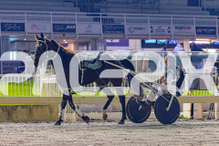 2026_PACEPIX_GP22052026_RACE8_CodenameMarcus_WIN_WEB-30
