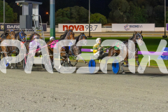 2023_HCC_GP08082025_Race7_Copper-head-Lady_WEB-1