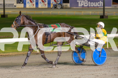 2023_HCC_GP08082025_Race7_Copper-head-Lady_WEB-10