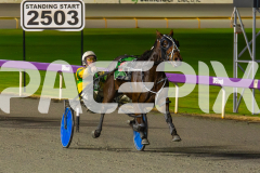 2023_HCC_GP08082025_Race7_Copper-head-Lady_WEB-3