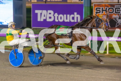 2023_HCC_GP08082025_Race7_Copper-head-Lady_WEB-7