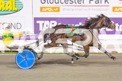 2023_HCC_GP08082025_Race7_Copper-head-Lady_WEB-8