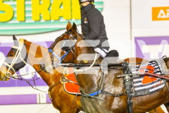 2025_PACEPIX_GP25072025_Race8_Crunchem_WIN_WEB-20