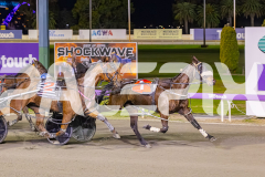 2025_PACEPIX_GP12092025_Race8_DelBocavistaBay_WIN_WEB-13