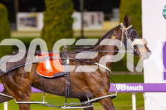 2025_PACEPIX_GP12092025_Race8_DelBocavistaBay_WIN_WEB-14