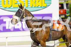 2025_PACEPIX_GP12092025_Race8_DelBocavistaBay_WIN_WEB-17
